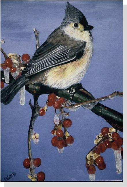 Tufted Titmouse with Winterberries  Painting by Stephen L. Wendt @